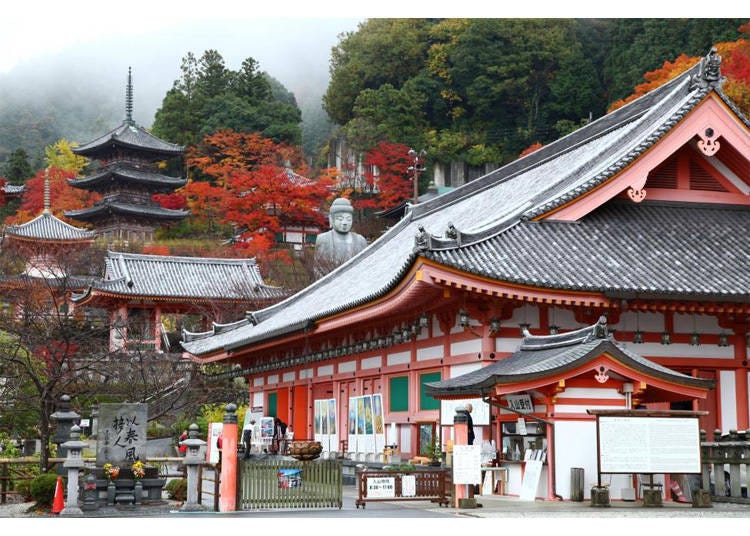 Tsubosakadera Temple in Nara (Image credit: KKday)