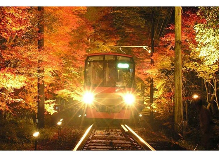 嵐山小火車的夜楓 圖片來源:KKday