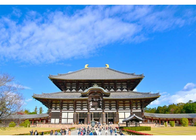 奈良東大寺 圖片來源:KKday