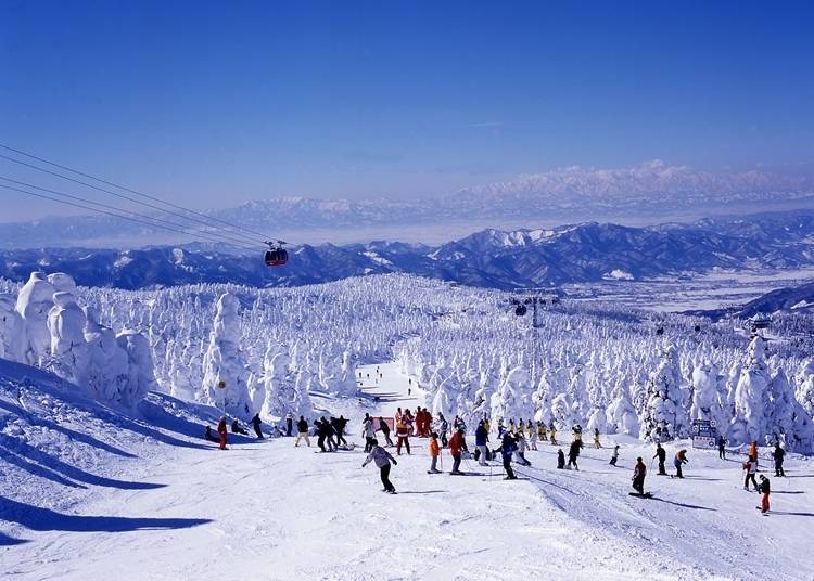 12. Enjoy skiing and seeing the "snow monsters" at Zao Onsen Ski Resort
