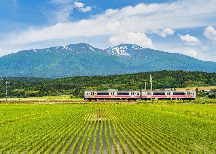 A train running through the paddy fields in early summer, with Mount Chokai in the background, in Yuza Town, Yamagata Prefecture. (Photo: PIXTA)