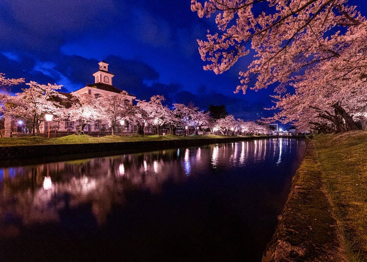 從鶴岡公園眺望致道博物館。（圖片來源：PIXTA）