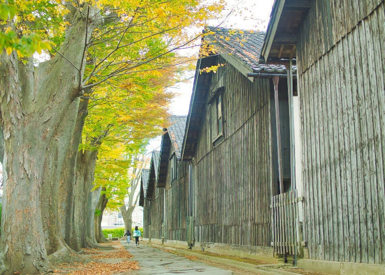 山居倉庫（圖片來源：PIXTA）