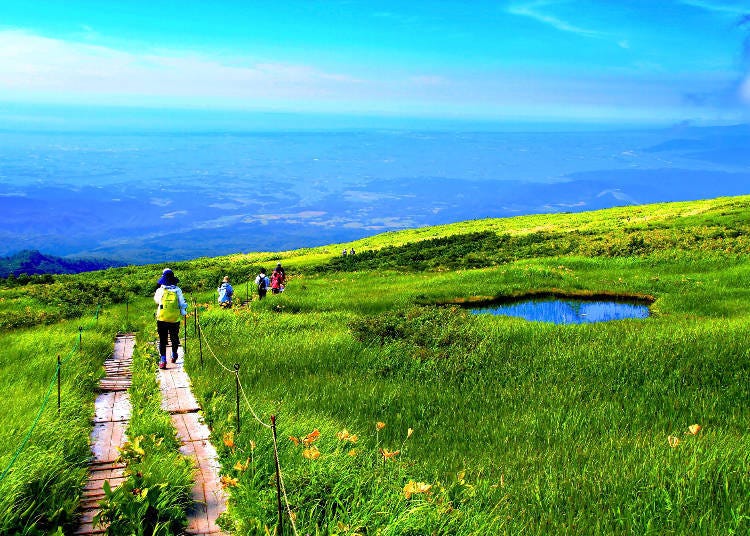 夏天在月山（鶴岡）健行。（圖片來源：PIXTA）