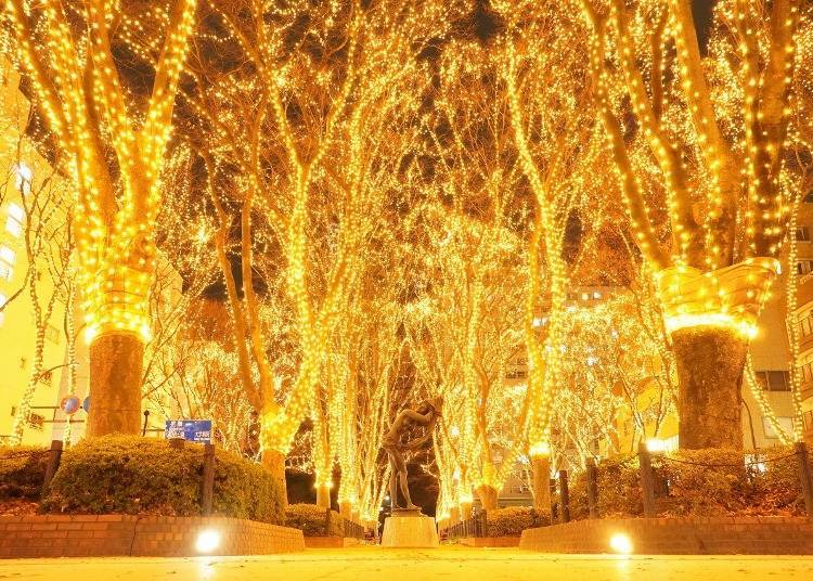 9. Be Enchanted by Illumination at the Sendai Pageant of Starlight in Winter