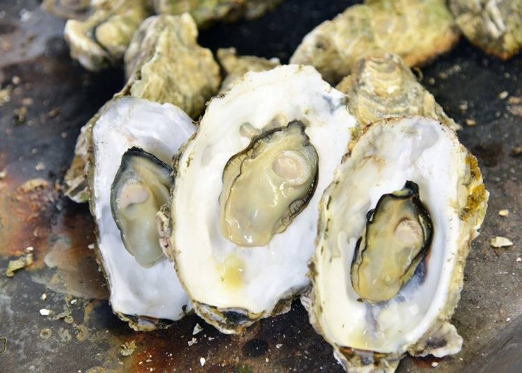 13. Eat flavorful grilled Miyagi oysters in fall and winter
