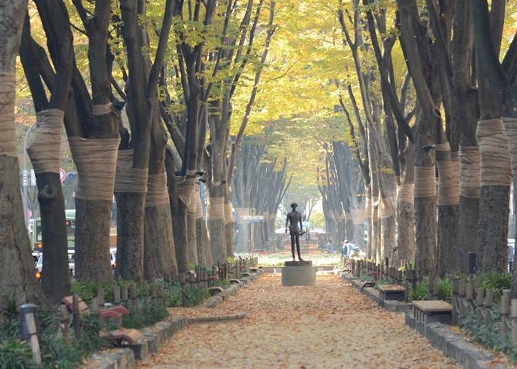 (Photo: DISCOVER SENDAI)