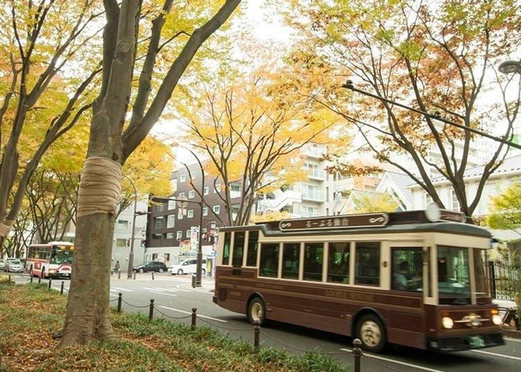 (Photo: Sendai Tourism International Association)