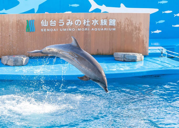 (Photo: PIXTA)