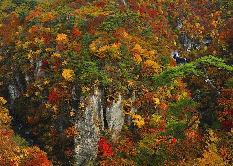 8．秋は感動的な鳴子峡の紅葉を楽しもう