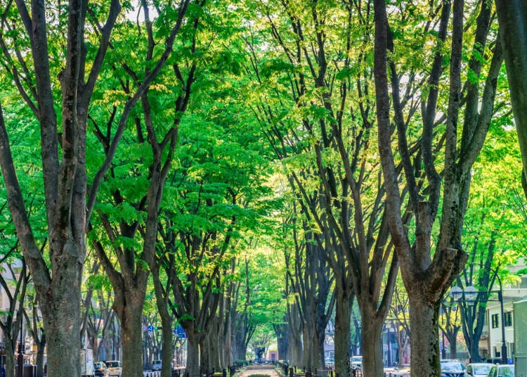 宫城—仙台地区简介