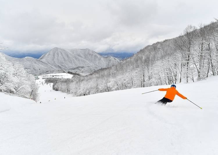 10. 在Spring Valley仙台泉滑雪场尽情滑雪