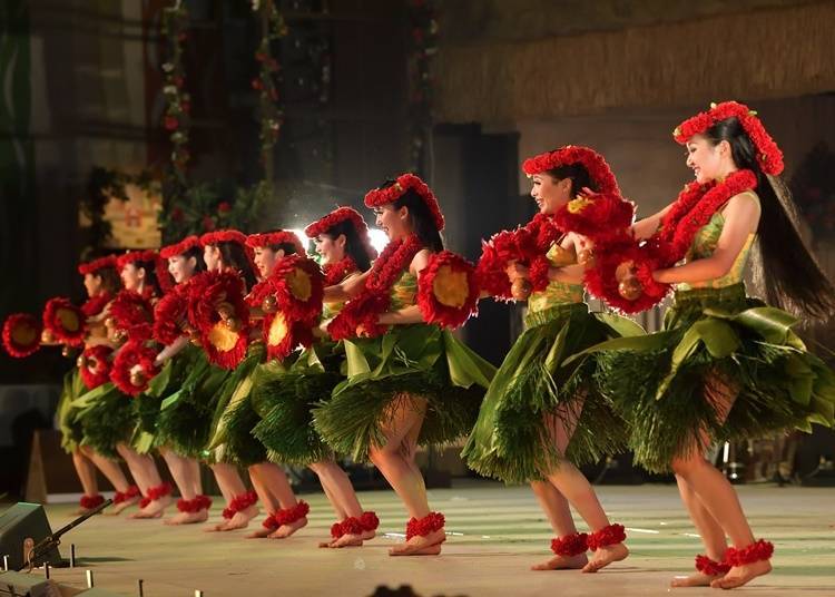 4. Spa Resort Hawaiians: Take in an exciting show
