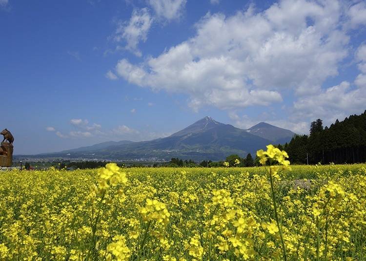 日本國內第三大的「福島縣」是一個怎麼樣的地方？