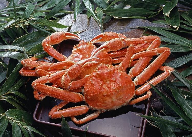 8. Enjoy Niigata's specialty: red snow crab
