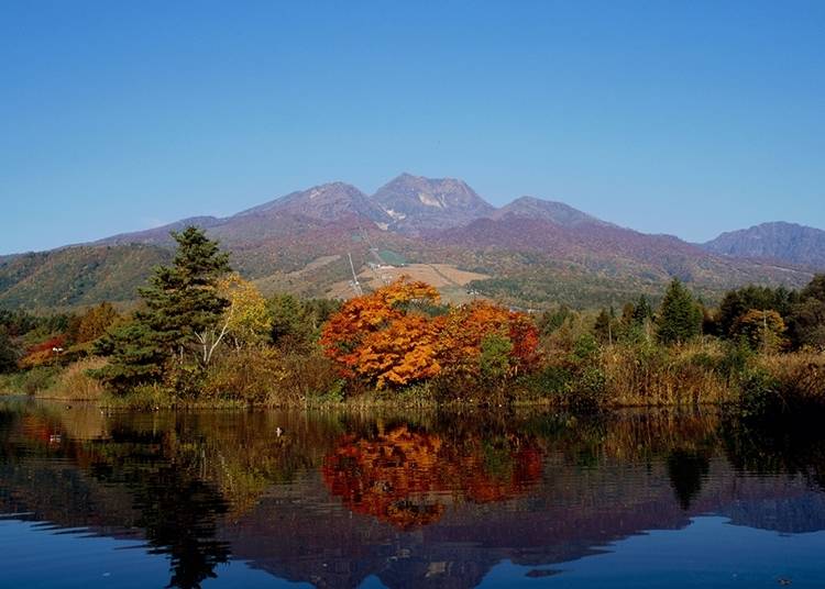 19．白樺の森に囲まれたいもり池から越後富士・妙高山を眺める