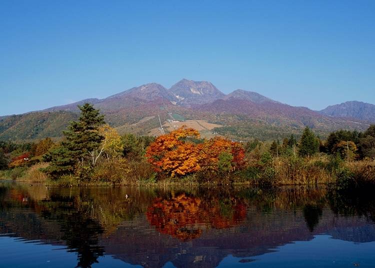 19. 賞「妙高山」與「蠑螈池」絕美風景