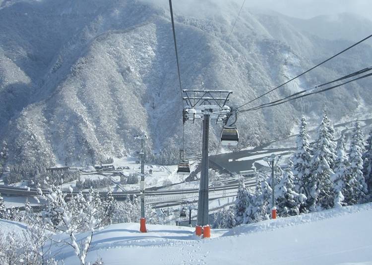 滑雪勝地的新潟景點