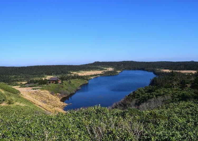 4.八幡平山頂散策路：巡迴山麓遊覽