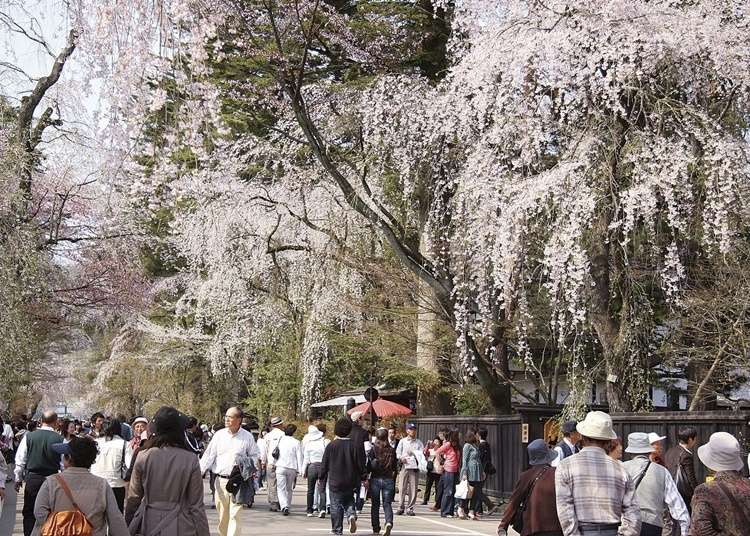 东北･秋田旅行的乐趣是什么？秋田必去的人气景点就是这里！