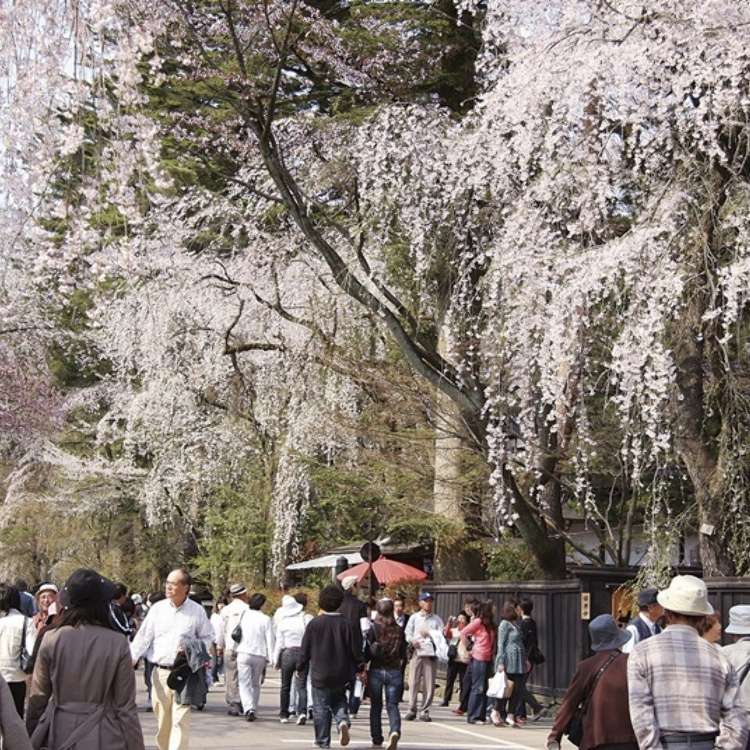 东北 秋田旅行的乐趣是什么 秋田必去的人气景点就是这里 Live Japan 日本的旅行 旅游 体验向导