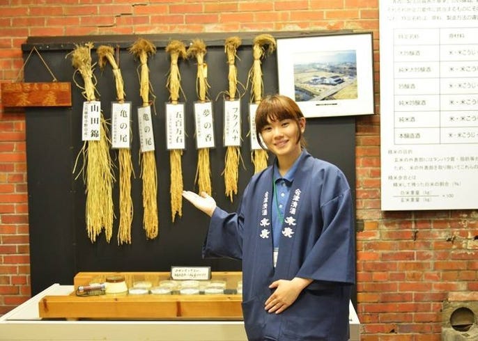 福岛县日本酒一日观光畅饮 全国新酒鉴评会 金奖数连续7年夺得日本第一的日本酒圣地 Live Japan 日本的旅行 旅游 体验向导
