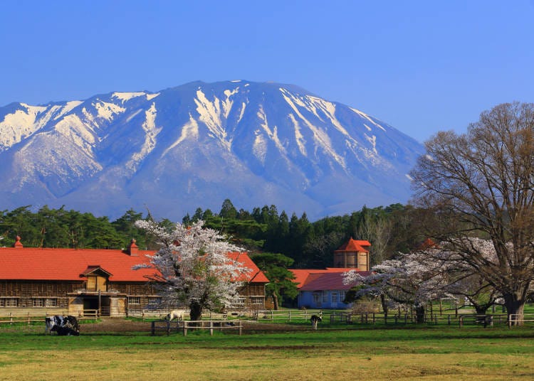 5. What to do in Morioka: Sightseeing Farm & Hot Springs in the Suburbs