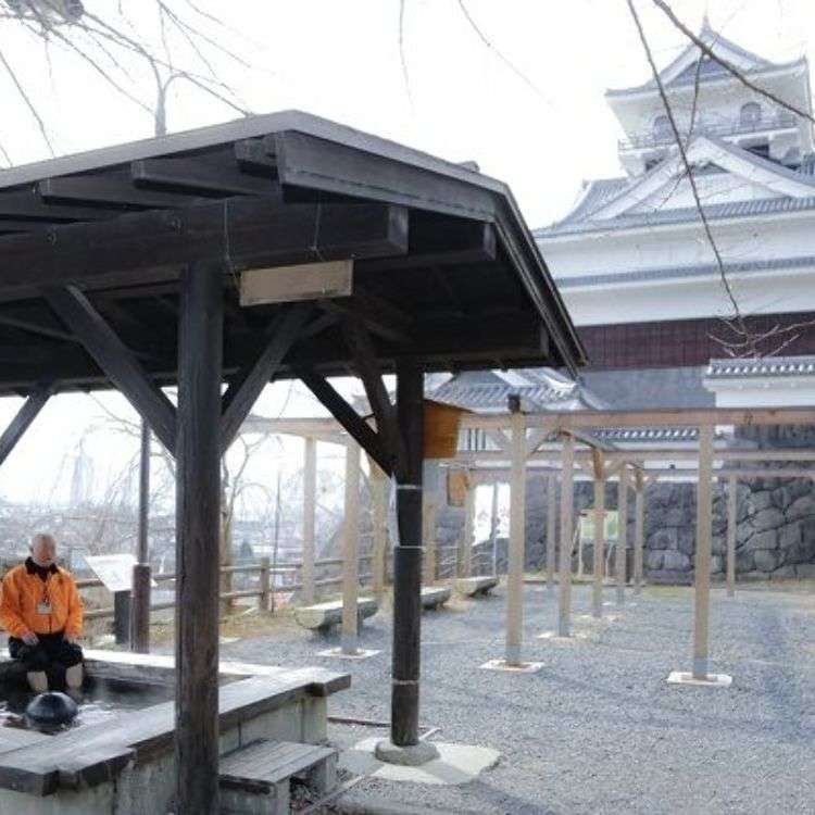 live japan