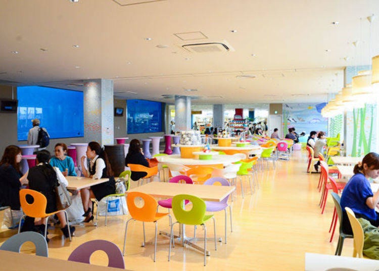 ▲ Food court. The two tanks to the side are of the lower portion of the Kaiju Hiroba [Sea Beasts Plaza] tank on the second floor offering views of the South American sea lions and harbor seals swimming.