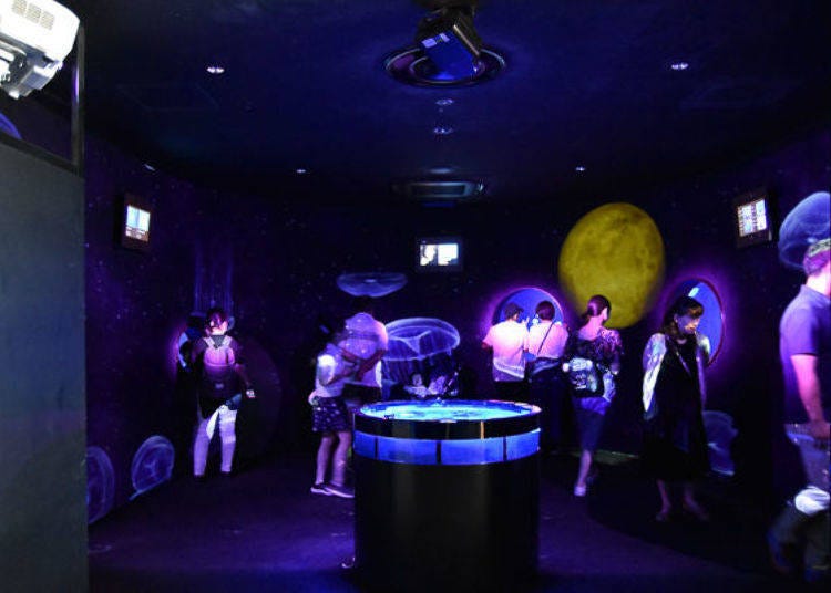 ▲그 끝에 있는 것이 살아있는 해파리의 전시. 벽면에는 해파리가 춤추는 LED 영상도 투영되고 있다.