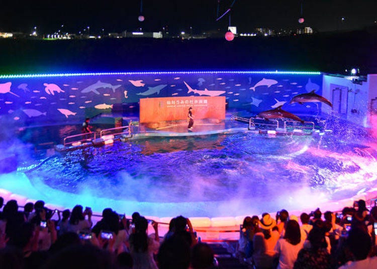 ▲夏季限定的夜间企划「神秘蓝泻湖」是将海狮与海豚的表演，结合灯光与薄雾的演出。因为在2018年大受好评，在9月将再度复出7天