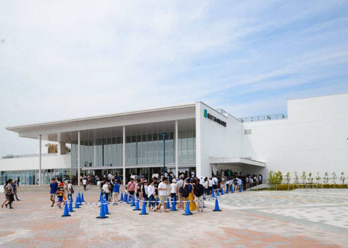 仙台海洋森林水族館 的享樂方法 斑點莎瑙魚群與近距離的海豚秀 live japan 日本旅遊 文化體驗導覽