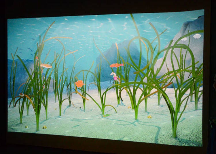 ▲在「甘藻 海洋的搖籃」也有將自己圖畫的魚，掃描後在悠游在影像中的「圖畫甘藻板」