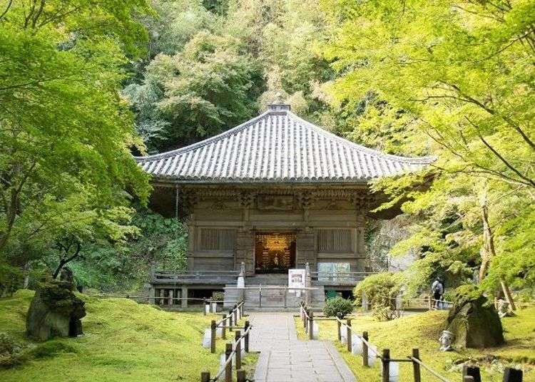 前往松岛的结缘寺「圆通院」，漫游庭园与制作佛珠手链享受美好的一天！