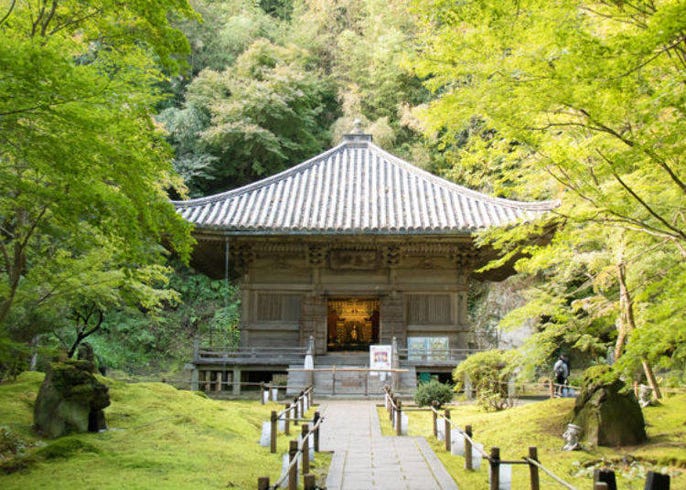 前往松岛的结缘寺 圆通院 漫游庭园与制作佛珠手链享受美好的一天 Live Japan 日本的旅行 旅游 体验向导