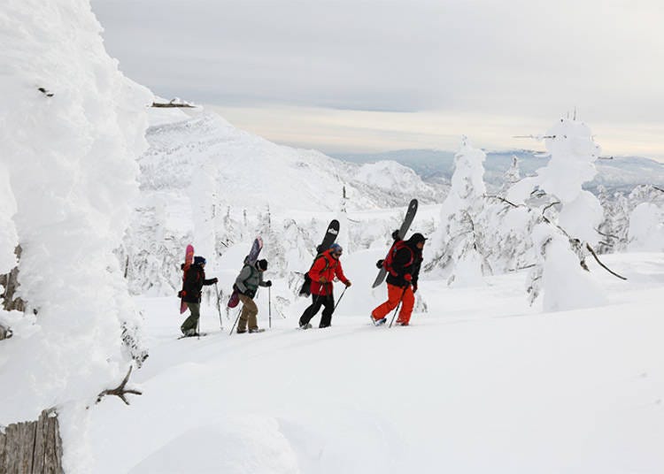 Tour #1: Snowshoeing Through Frost-Covered Trees