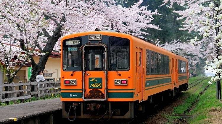 日本东北的最佳赏花季节是何时？日本・东北地区人气赏花景点10选