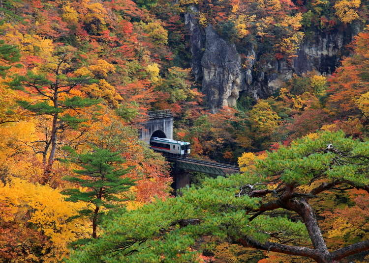 Tohoku Japan Guide: Top 10 Scenic Spots - Geibikei, Naruko Gorge, and More!