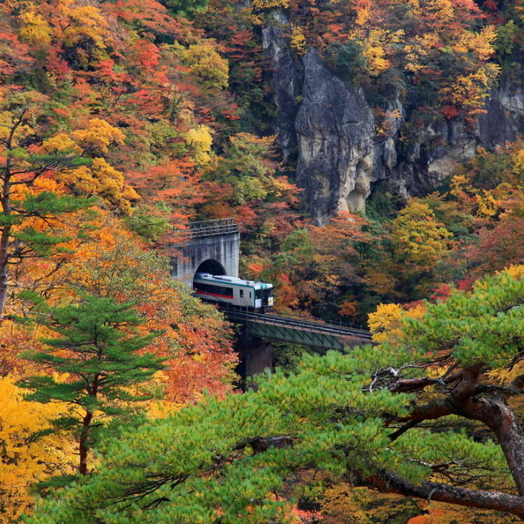 Jacintha 45回転2枚組レコードAutumn Leaves Jacintha 45回転2枚組レコードAutumn Leaves Jacintha 45回転2枚
