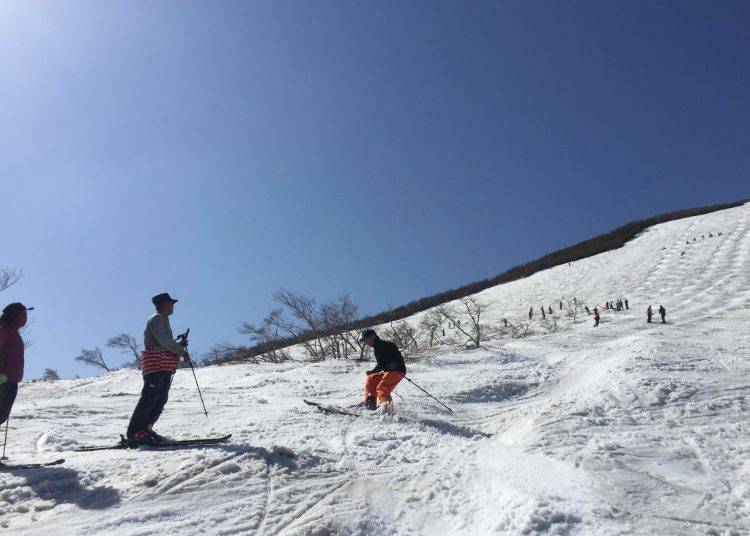 5. Mt. Gassan Ski Resort: Hotspot for Summertime Skiing (Yamagata)