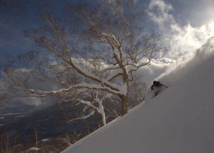 12. Myoko Suginohara Ski Resort: Japan's Longest Run  (Niigata)