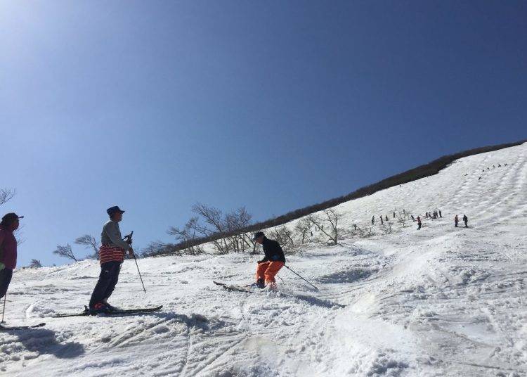 5：「月山スキー場」夏スキーの聖地といえばここ！（山形県）