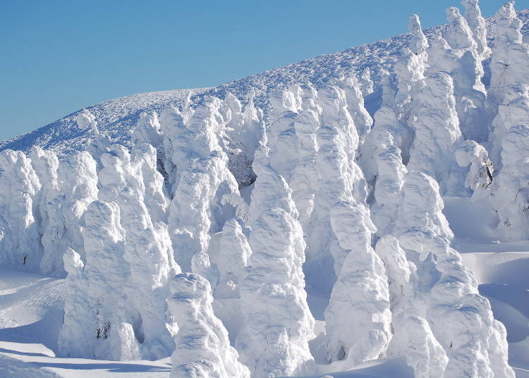 6：「蔵王温泉スキー場」自然の芸術「樹氷」を眺め滑ろう（山形県）