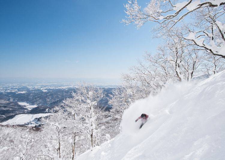 东北滑雪场的特色为何？