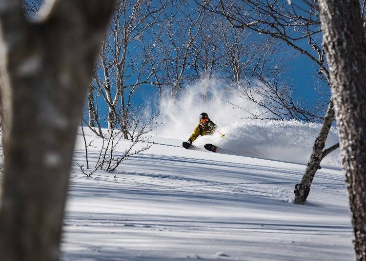 东北滑雪场④树林松雪区范围扩大中的豪雪滑雪场「夏油高原滑雪场」