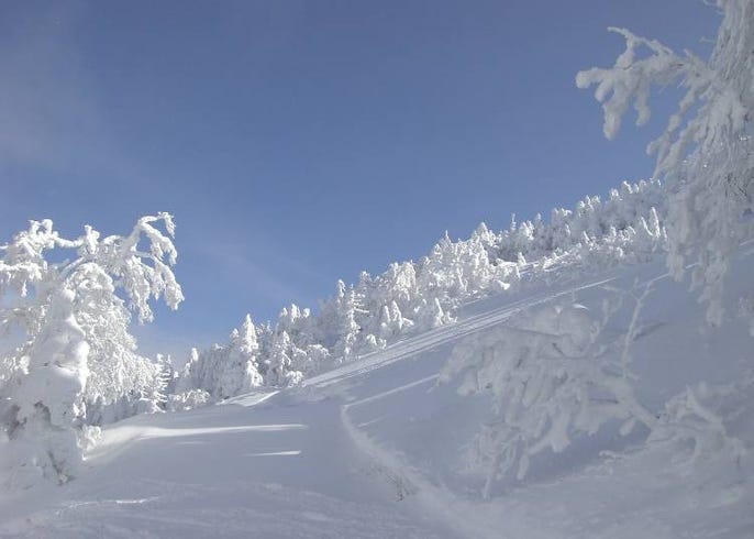 2021日本東北滑雪場10選 山形 藏王 青森 福島 岩手等 live japan 日本旅遊 文化體驗導覽
