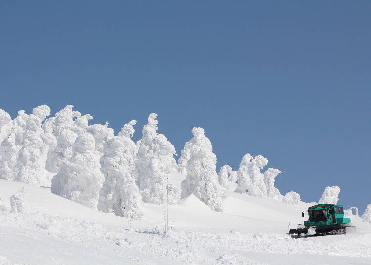 東北滑雪場⑧於「MOUNTAIN FIELD 宮城藏王澄川冰雪樂園」內乘坐雪車享受賞雪之旅