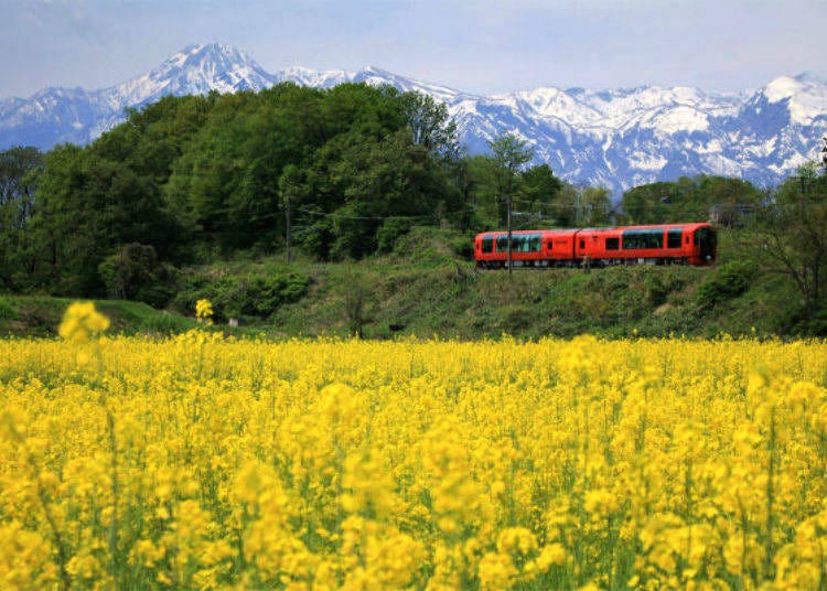 ▲ Mt. Myoko and Setsugekka are symbols of Myoko City (photo provided by Echigo Tokimeki Railway)