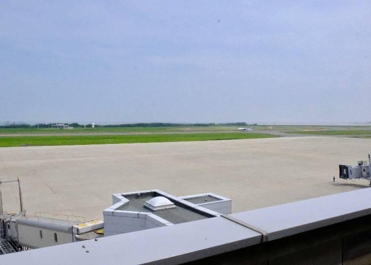 Observation and Pick-up Deck: Watch Planes Come and Go!