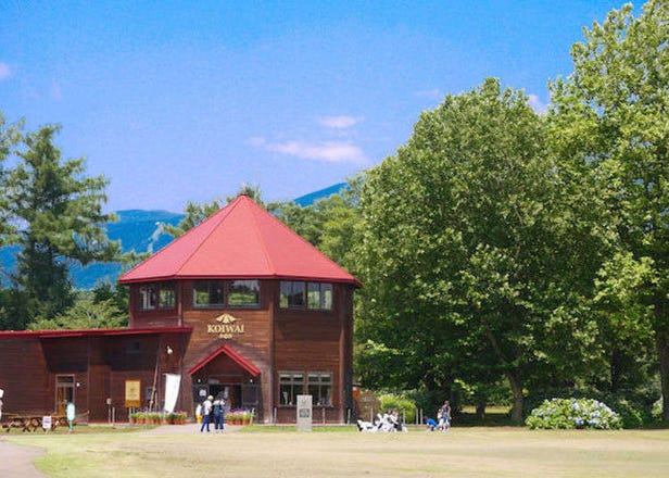Koiwai Farm Guide: Eat, Learn and Play at Iwate Prefecture's Premier Agritourism Destination!